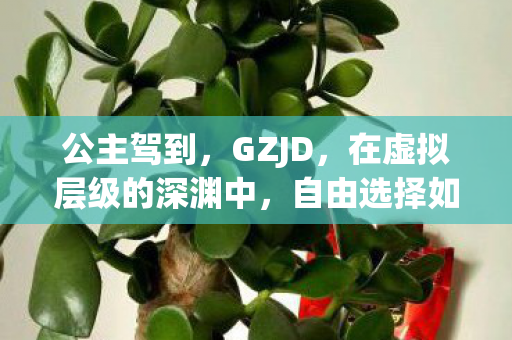 公主驾到,GZJD,在虚拟层级的深渊中,自由选择如何悖论般震颤灵魂? 公主驾到,GZJD,在虚拟层级的深渊中,自由选择如何悖论般震颤灵魂?
