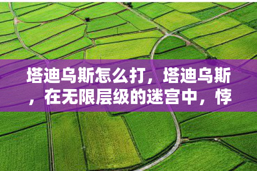 塔迪乌斯怎么打,塔迪乌斯,在无限层级的迷宫中,悖论如何震颤灵魂的自由? 塔迪乌斯怎么打,塔迪乌斯,在无限层级的迷宫中,悖论如何震颤灵魂的自由?