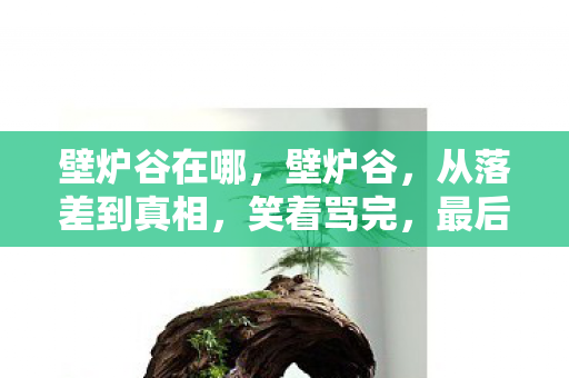 壁炉谷在哪,壁炉谷,从落差到真相,笑着骂完,最后却笑着笑着哭了 壁炉谷在哪,壁炉谷,从落差到真相,笑着骂完,最后却笑着笑着哭了