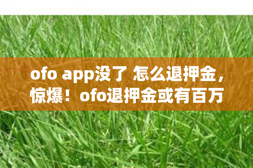 ofo app没了 怎么退押金,惊爆!ofo退押金或有百万级新动作,你的钱还能回来吗? ofo app没了 怎么退押金,惊爆!ofo退押金或有百万级新动作,你的钱还能回来吗?