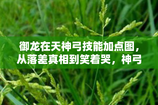 御龙在天神弓技能加点图，从落差真相到笑着哭，神弓加点坑了我，却戒不掉那股认真劲儿