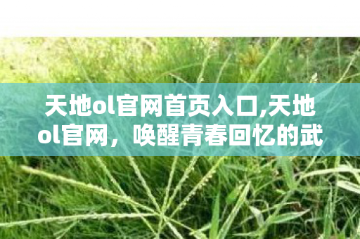天地ol官网首页入口,天地ol官网,唤醒青春回忆的武侠网游港湾 天地ol官网首页入口,天地ol官网,唤醒青春回忆的武侠网游港湾