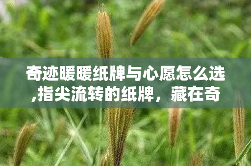 奇迹暖暖纸牌与心愿怎么选,指尖流转的纸牌,藏在奇迹暖暖里的心愿微光 奇迹暖暖纸牌与心愿怎么选,指尖流转的纸牌,藏在奇迹暖暖里的心愿微光