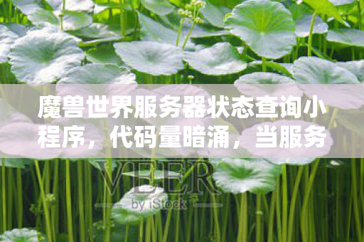 魔兽世界服务器状态查询小程序，代码量暗涌，当服务器状态查询成为社恐指挥官的头皮发麻社交密码