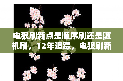 电狼刷新点是顺序刷还是随机刷，12年追踪，电狼刷新点之谜，终成玩家泪目传奇