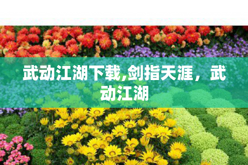 武动江湖下载,剑指天涯,武动江湖 武动江湖下载,剑指天涯,武动江湖