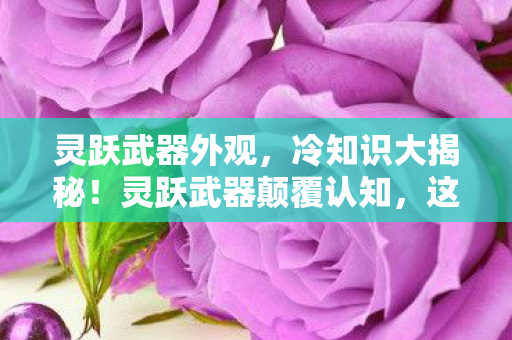 灵跃武器外观,冷知识大揭秘!灵跃武器颠覆认知,这些设计细节让你目瞪口呆! 灵跃武器外观,冷知识大揭秘!灵跃武器颠覆认知,这些设计细节让你目瞪口呆!