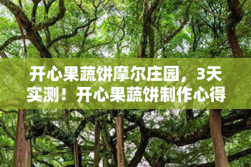 开心果蔬饼摩尔庄园，3天实测！开心果蔬饼制作心得+避坑指南，新手必看！