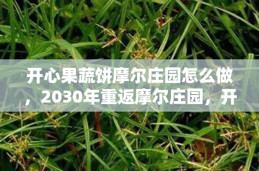 开心果蔬饼摩尔庄园怎么做,2030年重返摩尔庄园,开心果蔬饼的十年之变,藏着怎样的惊天秘密? 开心果蔬饼摩尔庄园怎么做,2030年重返摩尔庄园,开心果蔬饼的十年之变,藏着怎样的惊天秘密?