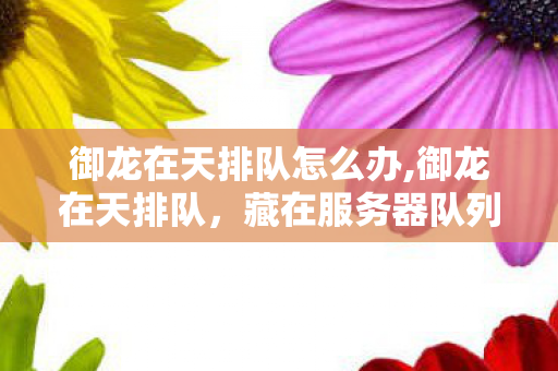 御龙在天排队怎么办,御龙在天排队，藏在服务器队列里的旧时光