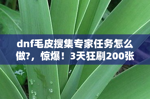 dnf毛皮搜集专家任务怎么做?，惊爆！3天狂刷200张毛皮？DNF毛皮搜集隐藏技巧大揭秘！