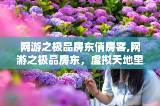 网游之极品房东俏房客,网游之极品房东,虚拟天地里的暖心烟火 网游之极品房东俏房客,网游之极品房东,虚拟天地里的暖心烟火