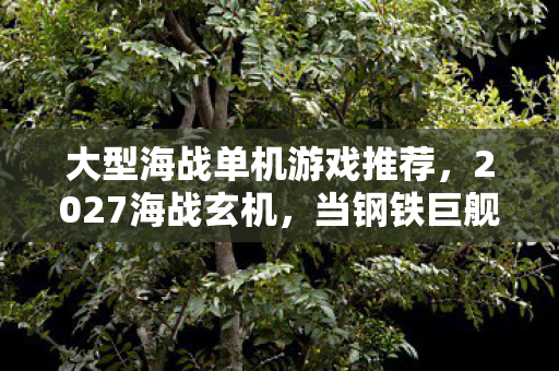 大型海战单机游戏推荐,2027海战玄机,当钢铁巨舰沉默时,我听见命运的轰鸣 大型海战单机游戏推荐,2027海战玄机,当钢铁巨舰沉默时,我听见命运的轰鸣