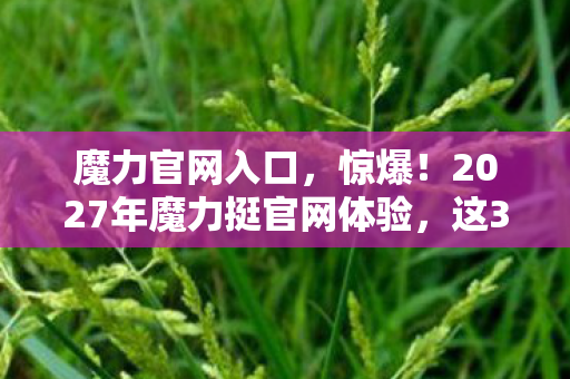 魔力官网入口，惊爆！2027年魔力挺官网体验，这3大变化让体验者集体破防！