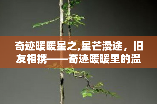 奇迹暖暖星之,星芒漫途，旧友相携——奇迹暖暖里的温暖约定