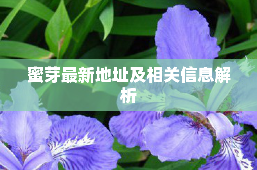 蜜芽最新地址及相关信息解析 蜜芽最新地址及相关信息解析