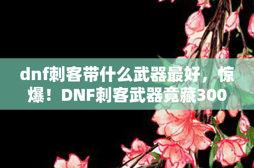 dnf刺客带什么武器最好,惊爆!DNF刺客武器竟藏3000万隐情,这结果让人吓一跳! dnf刺客带什么武器最好,惊爆!DNF刺客武器竟藏3000万隐情,这结果让人吓一跳!