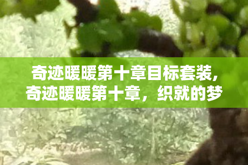 奇迹暖暖第十章目标套装,奇迹暖暖第十章,织就的梦幻舞台与成长序章 奇迹暖暖第十章目标套装,奇迹暖暖第十章,织就的梦幻舞台与成长序章