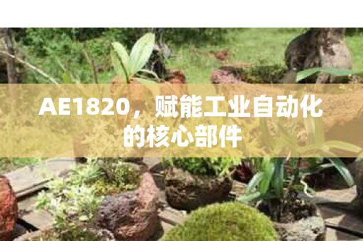 AE1820，赋能工业自动化的核心部件