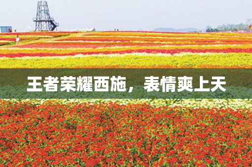 王者荣耀西施,表情爽上天 王者荣耀西施,表情爽上天