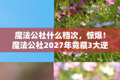 魔法公社什么档次,惊爆!魔法公社2027年竟藏3大逆天秘密,你绝对猜不到结局! 魔法公社什么档次,惊爆!魔法公社2027年竟藏3大逆天秘密,你绝对猜不到结局!