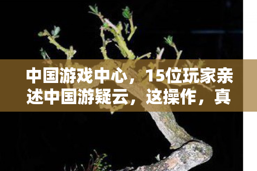 中国游戏中心,15位玩家亲述中国游疑云,这操作,真让人绷不住了! 中国游戏中心,15位玩家亲述中国游疑云,这操作,真让人绷不住了!