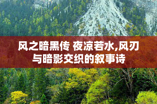 风之暗黑传 夜凉若水,风刃与暗影交织的叙事诗 风之暗黑传 夜凉若水,风刃与暗影交织的叙事诗