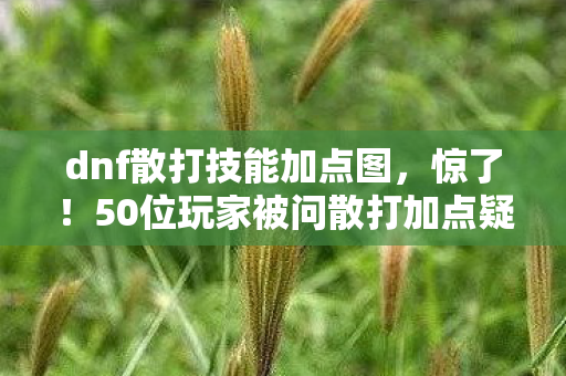 dnf散打技能加点图,惊了!50位玩家被问散打加点疑点,最后1人让采访者当场绷不住 dnf散打技能加点图,惊了!50位玩家被问散打加点疑点,最后1人让采访者当场绷不住