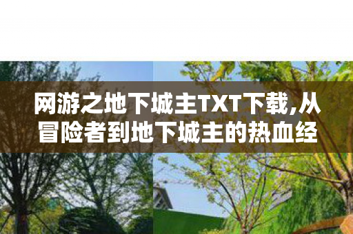 网游之地下城主TXT下载,从冒险者到地下城主的热血经营之旅 网游之地下城主TXT下载,从冒险者到地下城主的热血经营之旅