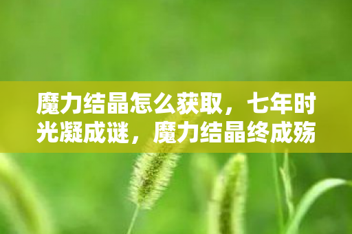 魔力结晶怎么获取,七年时光凝成谜,魔力结晶终成殇,泪目见证游戏落幕 魔力结晶怎么获取,七年时光凝成谜,魔力结晶终成殇,泪目见证游戏落幕