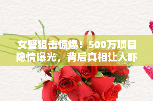 女警狙击惊爆!500万项目隐情曝光,背后真相让人吓一跳! 女警狙击惊爆!500万项目隐情曝光,背后真相让人吓一跳!