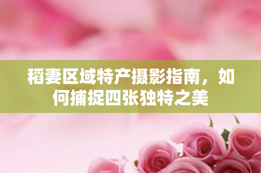 稻妻区域特产摄影指南,如何捕捉四张独特之美 稻妻区域特产摄影指南,如何捕捉四张独特之美