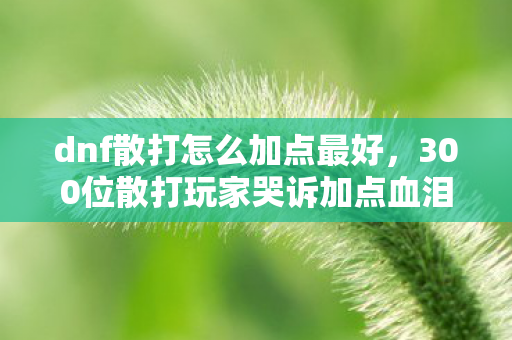 dnf散打怎么加点最好，300位散打玩家哭诉加点血泪史，这疑点让我绷不住了！