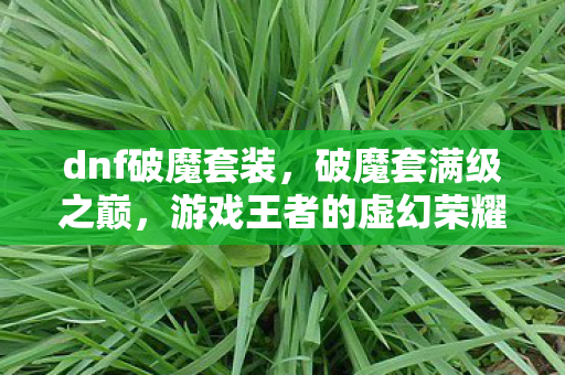 dnf破魔套装,破魔套满级之巅,游戏王者的虚幻荣耀与现实废物的灵魂深渊 dnf破魔套装,破魔套满级之巅,游戏王者的虚幻荣耀与现实废物的灵魂深渊
