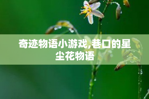 奇迹物语小游戏,巷口的星尘花物语 奇迹物语小游戏,巷口的星尘花物语