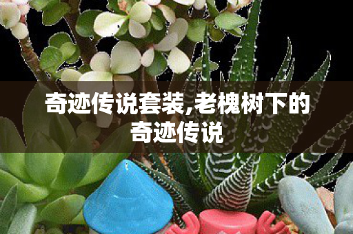 奇迹传说套装,老槐树下的奇迹传说 奇迹传说套装,老槐树下的奇迹传说