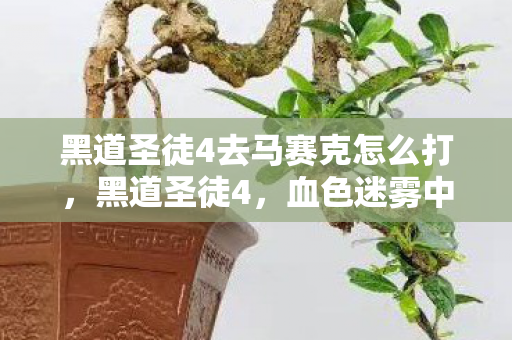 黑道圣徒4去马赛克怎么打,黑道圣徒4,血色迷雾中的去码悬案,毛骨悚然自掘坟墓 黑道圣徒4去马赛克怎么打,黑道圣徒4,血色迷雾中的去码悬案,毛骨悚然自掘坟墓