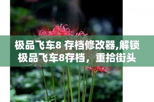 极品飞车8 存档修改器,解锁极品飞车8存档,重拾街头竞速的热血记忆 极品飞车8 存档修改器,解锁极品飞车8存档,重拾街头竞速的热血记忆