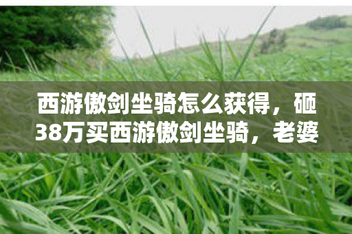西游傲剑坐骑怎么获得,砸38万买西游傲剑坐骑,老婆签离婚协议才知,这隐情让我吓一跳! 西游傲剑坐骑怎么获得,砸38万买西游傲剑坐骑,老婆签离婚协议才知,这隐情让我吓一跳!