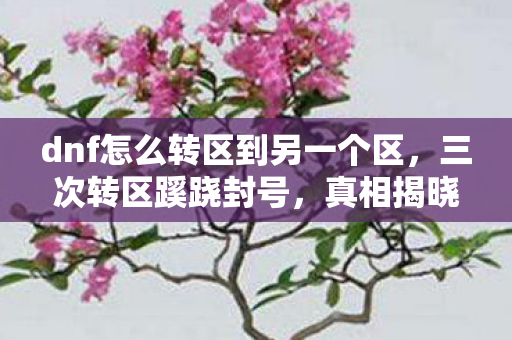dnf怎么转区到另一个区，三次转区蹊跷封号，真相揭晓后背发凉，你转的从来不是区！