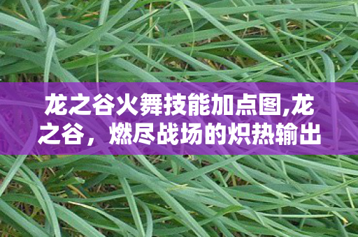 龙之谷火舞技能加点图,龙之谷,燃尽战场的炽热输出——火舞 龙之谷火舞技能加点图,龙之谷,燃尽战场的炽热输出——火舞