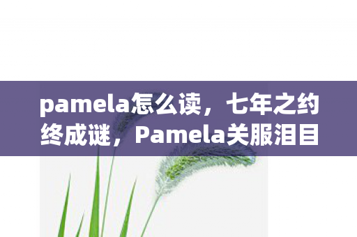 pamela怎么读，七年之约终成谜，Pamela关服泪目，我的青春就此落幕