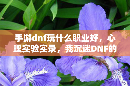 手游dnf玩什么职业好,心理实验实录,我沉迷DNF的细思极恐再来一局循环 手游dnf玩什么职业好,心理实验实录,我沉迷DNF的细思极恐再来一局循环