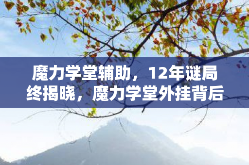 魔力学堂辅助，12年谜局终揭晓，魔力学堂外挂背后的真相，泪目无数玩家