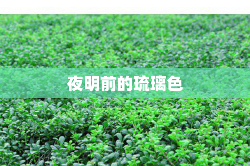 夜明前的琉璃色 夜明前的琉璃色
