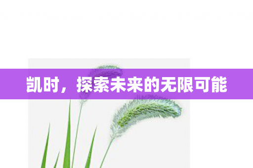 凯时,探索未来的无限可能 凯时,探索未来的无限可能