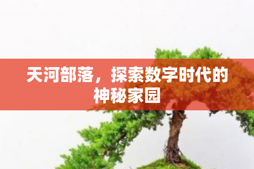 天河部落,探索数字时代的神秘家园 天河部落,探索数字时代的神秘家园