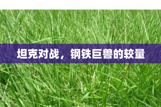 坦克对战,钢铁巨兽的较量 坦克对战,钢铁巨兽的较量