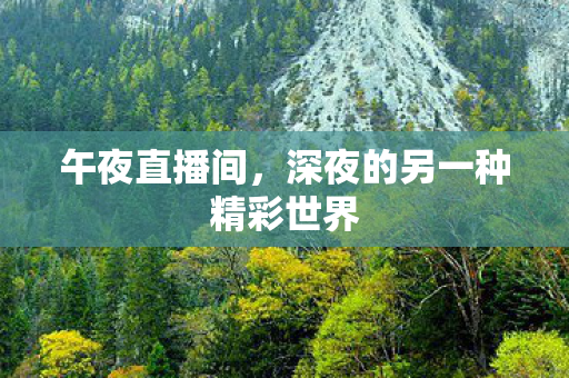 午夜直播间,深夜的另一种精彩世界 午夜直播间,深夜的另一种精彩世界