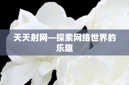 天天射网—探索网络世界的乐趣 天天射网—探索网络世界的乐趣